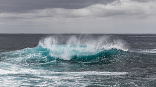 landscape photography of wave sea
