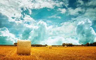 brown haystacks, landscape, nature, sky, field