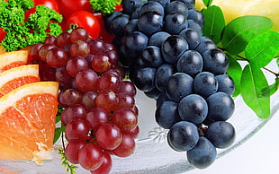 two purple and red bunch of grapes