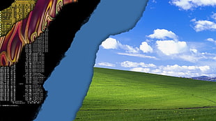 green grass screengrab, Windows XP, technology HD wallpaper