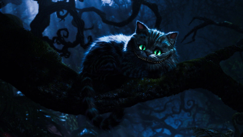 Alice in the Wonderland Cheshire cat HD wallpaper