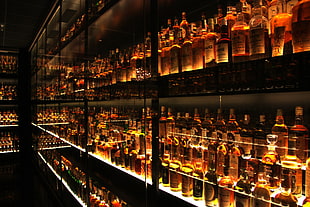 assorted-brand bottle lot, Scotch, bottles, shelves, alcohol HD wallpaper