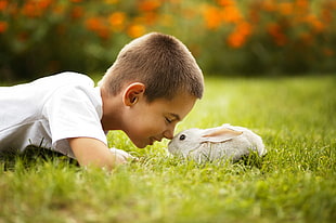 boy pointing his nose on gray rabbit