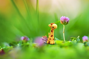 brown giraffe toy with purple flower close-up photography