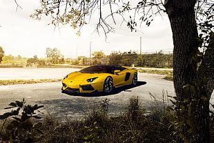 yellow coupe on road