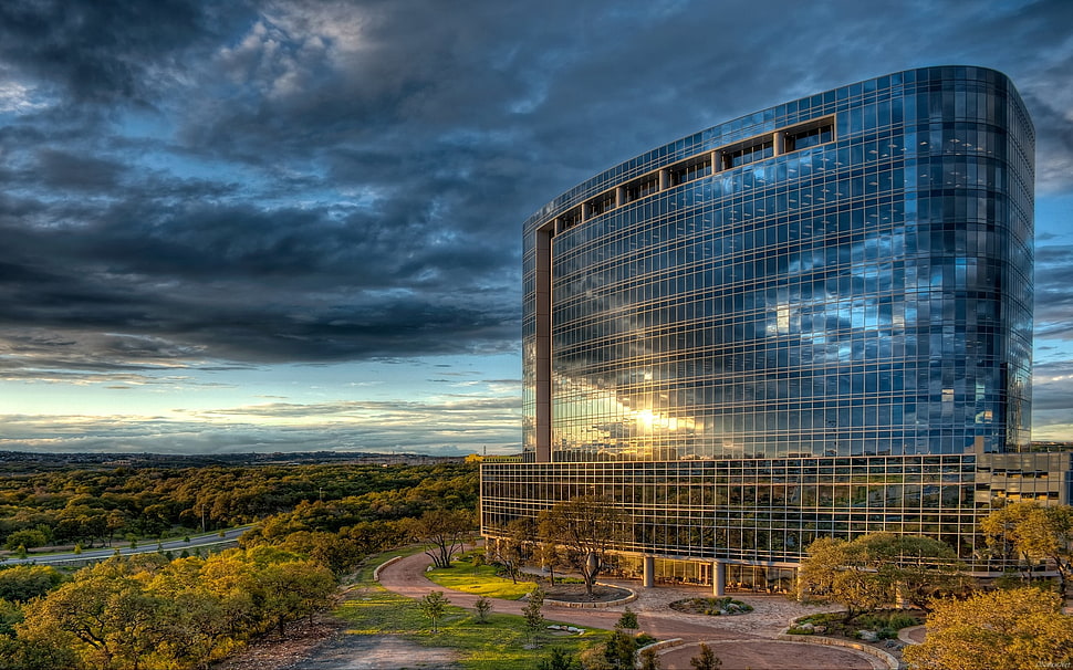 building surrounded with trees, Texas, building HD wallpaper