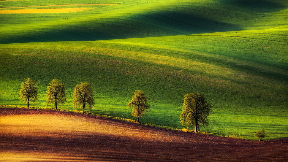 trees painting, green, hills, trees, ground HD wallpaper