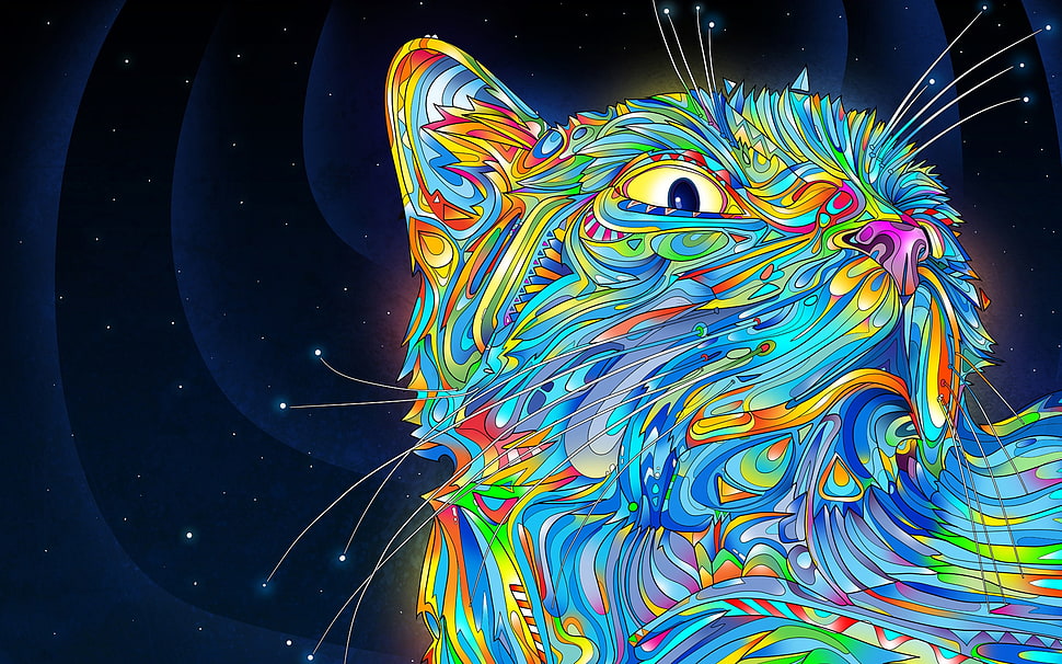 multicolored cat painting HD wallpaper
