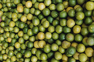 green lime, Limes, Citrus, Fruits HD wallpaper