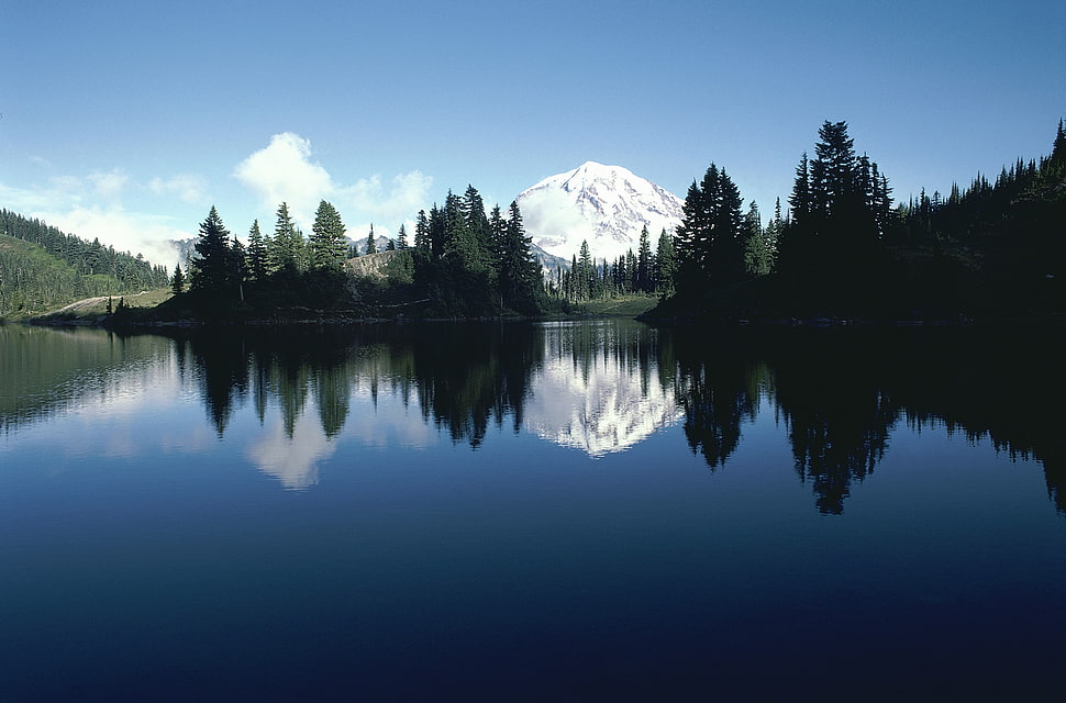 lakeside view during day time HD wallpaper