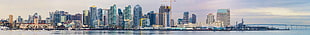 City buildings near bodies of water photo shot during daytime, san diego, california