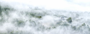 mountain covered with thick fog HD wallpaper