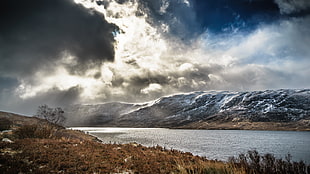 brown grasses in front of lake underneath white clouds, highlands, scotland, united kingdom