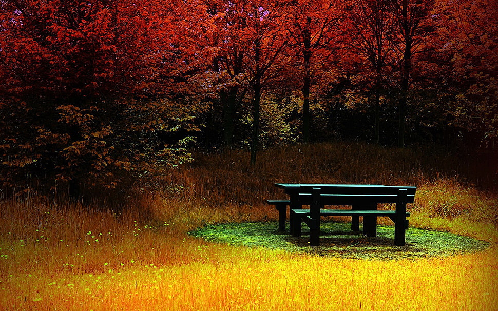 black wooden picnic table HD wallpaper