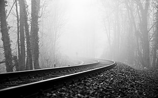 gray metal train road in between forest