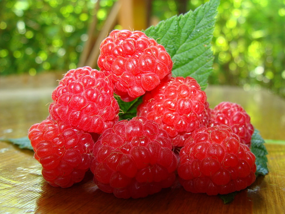 pink strawberries HD wallpaper