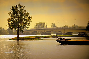boat on lake near islet with tree afar bridge during golden hour