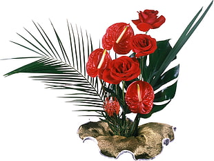 red Rose and Laceleaf flowers