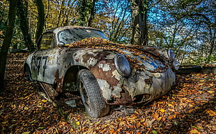 gray coupe, trees, car, vehicle, wreck