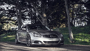 silver Infiniti coupe beside trees