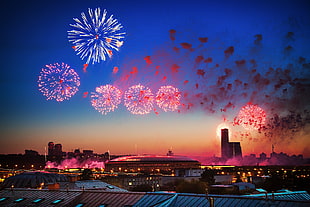 photography of fireworks during night time
