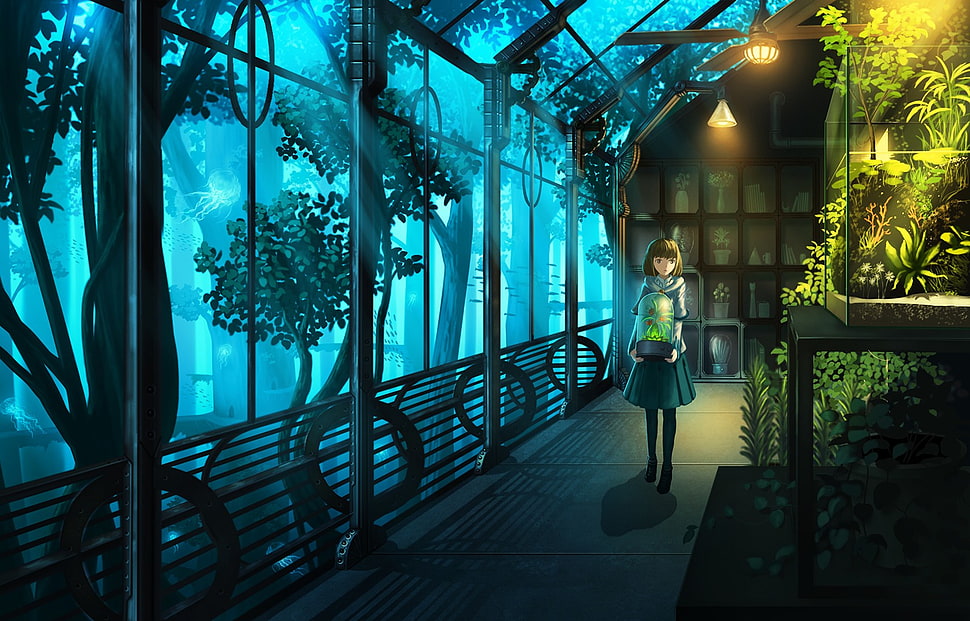 plants, indoors HD wallpaper