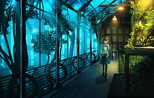 plants, indoors HD wallpaper
