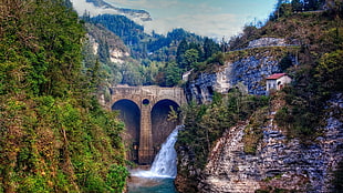 bridge with falls surrounded by trees, architecture, bridge, nature, landscape