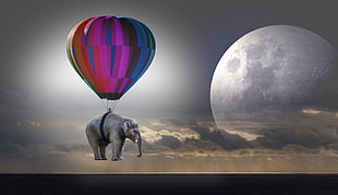 landscape photo of elephant hanged on hot air balloon during night time