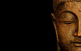 Gautama Buddha photo HD wallpaper