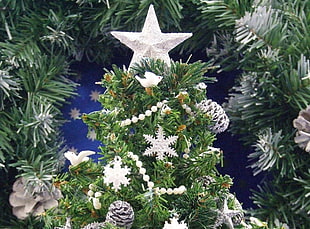 green indoor Christmas tree
