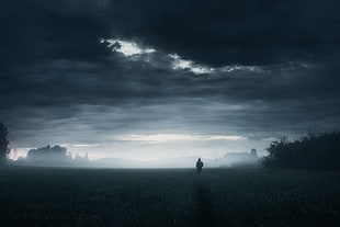 dark, loneliness, alone, nature HD wallpaper