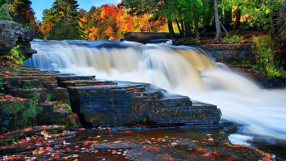 waterfalls near green-leafed trees during daytime HD wallpaper