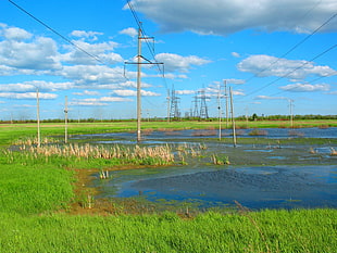 landscape photography of field of grass near transmission towers HD wallpaper