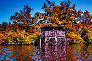 brown wooden shed beside body of water landscape photography