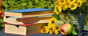 3 hardbound books besides sunflowers and red-and-green apple HD wallpaper