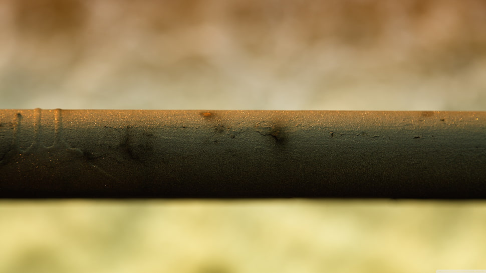 closeup, bokeh HD wallpaper