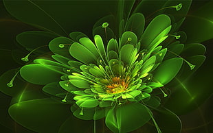 green floral LED decor HD wallpaper