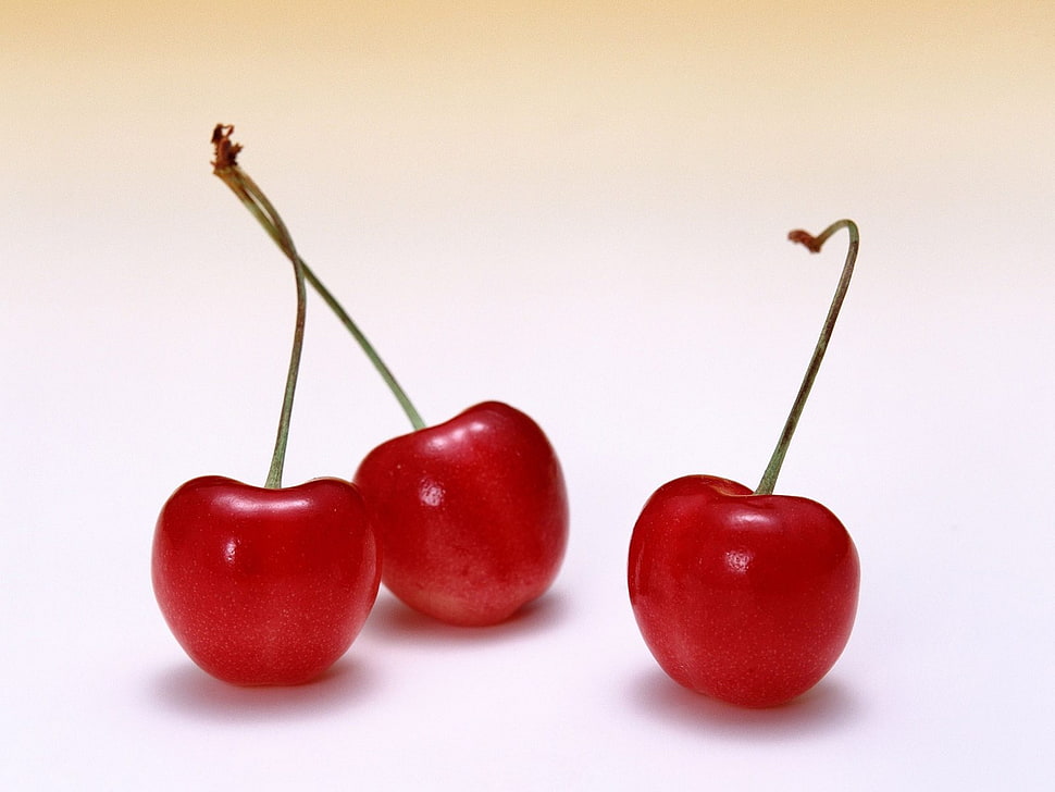 three red cherries HD wallpaper