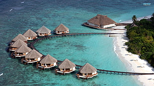 Maldives island, island, sea