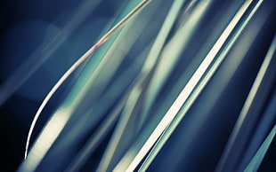 Line,  Obliquely,  Light,  Shadow