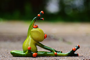 green and yellow exercising frog figurine on soil covered field during day HD wallpaper