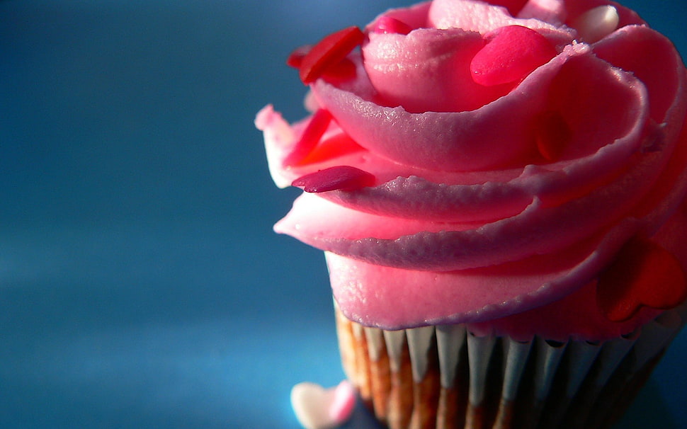 pink cupcake, food HD wallpaper