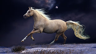 brown horse painting, animals, horse HD wallpaper
