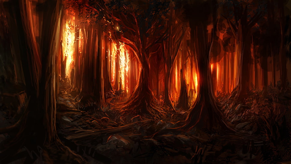 orange light passing through forest trees digital wallpaper, digital art, nature, trees, forest HD wallpaper