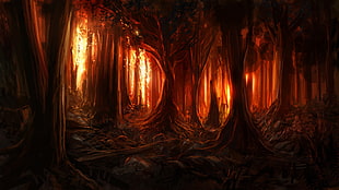 orange light passing through forest trees digital wallpaper, digital art, nature, trees, forest