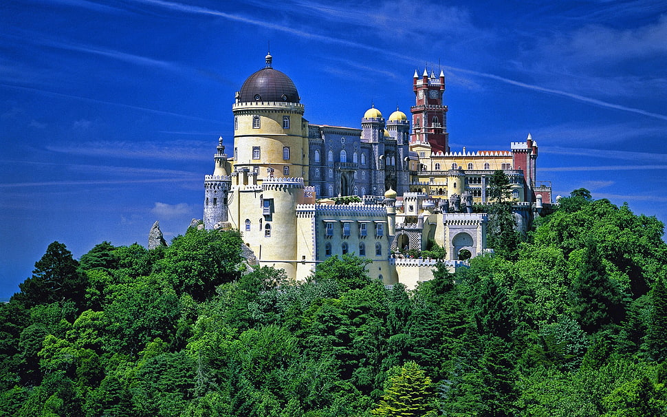 white and grey castle, castle, trees, landscape, architecture HD wallpaper