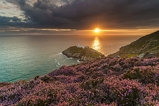 aerial view photography of lighthouse surrounded with sea, south stack HD wallpaper
