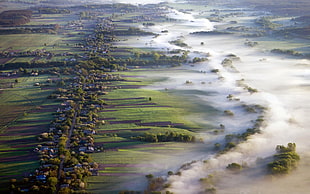 green grass field, nature, landscape, aerial view, mist HD wallpaper