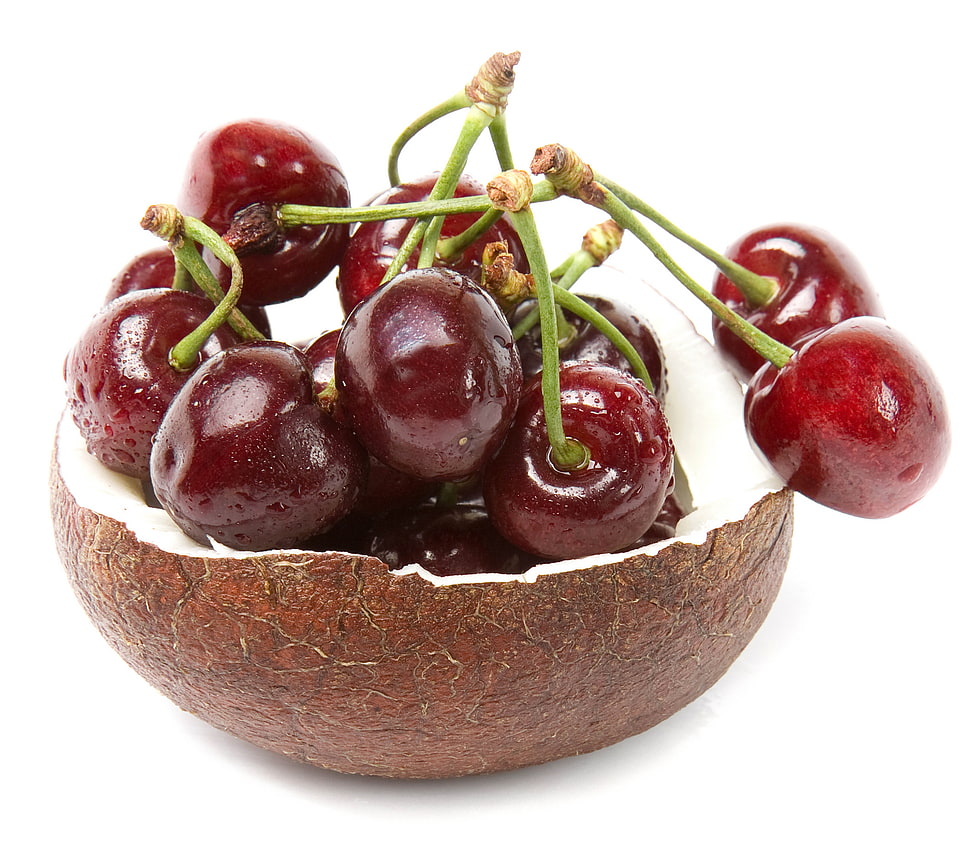 red cherries on coconut HD wallpaper
